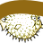 a shell